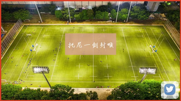 托尼一剑封喉