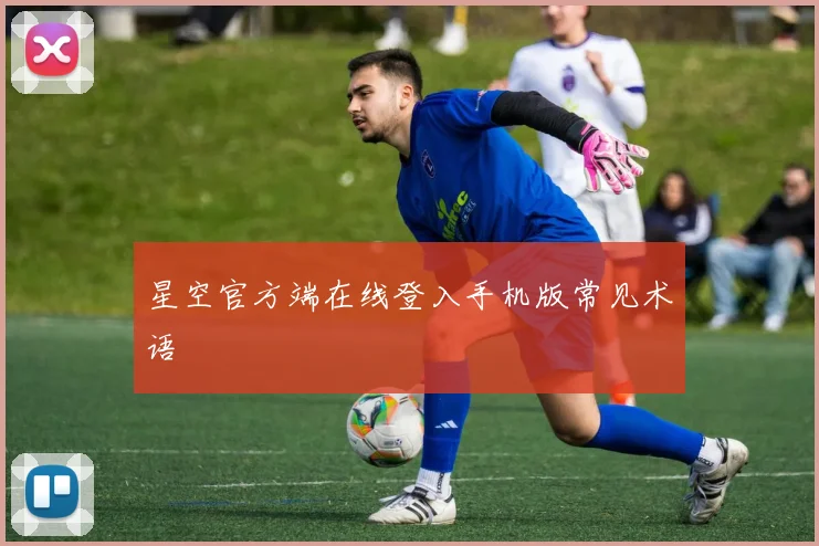 星空官方端在线登入手机版常见术语