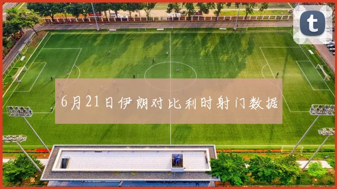 6月21日伊朗对比利时射门数据