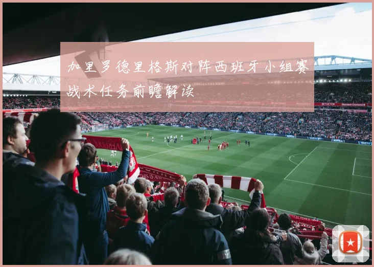 加里罗德里格斯对阵西班牙小组赛战术任务前瞻解读