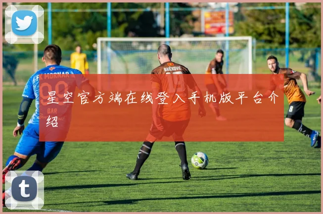 星空官方端在线登入手机版平台介绍